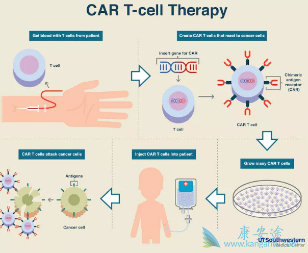 CAR-T