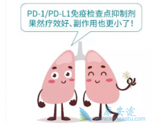 FDA׼PD-1/PD-L1ƼӦڷΰ