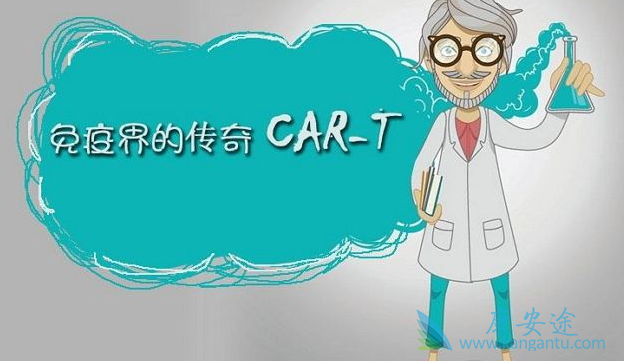 CAR-T