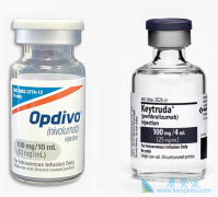 PD-1Opdivoйʱ䣿PD-1ƼOpdivo