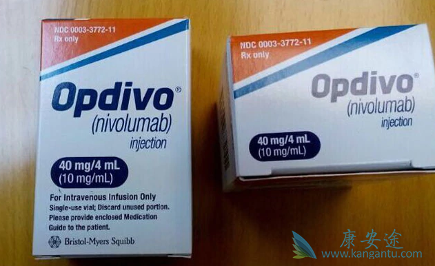 纳武单抗 纳武单抗