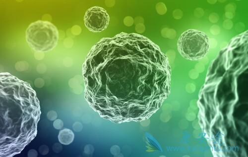 海外医疗 海外医疗