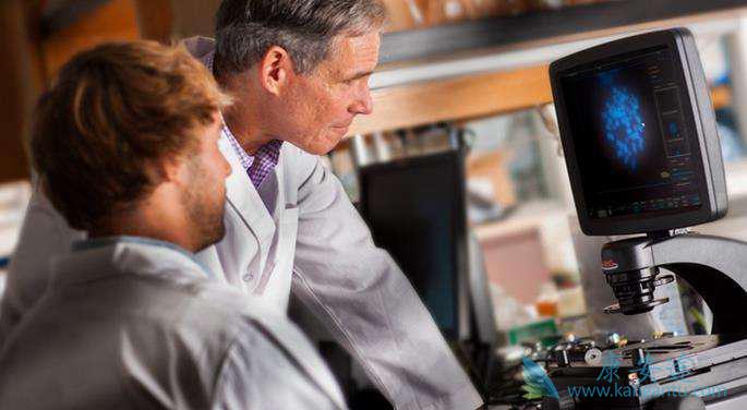 海外医疗 海外医疗