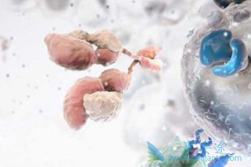 海外医疗 海外医疗