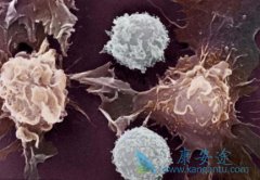 ����ҽ���о������㰩֢��ʵҲ�ǿ���������