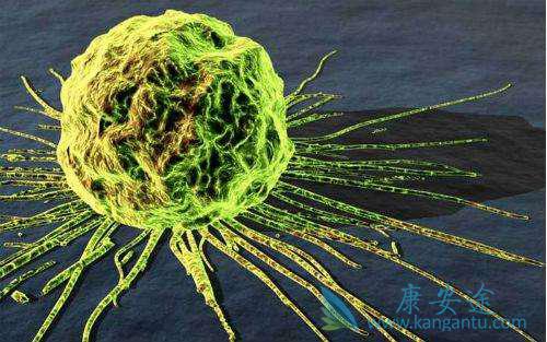 海外医疗 海外医疗