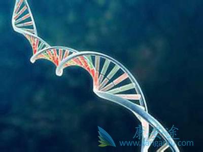 海外医疗 海外医疗