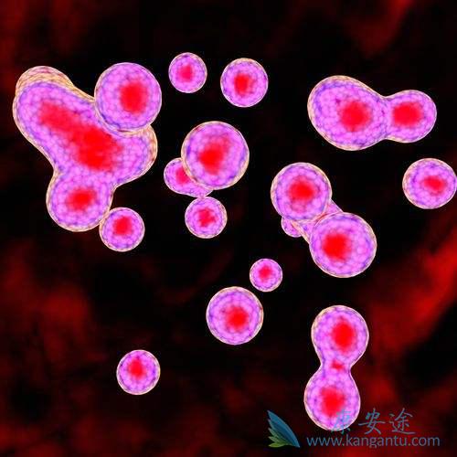 海外医疗 海外医疗