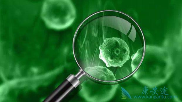 海外医疗 海外医疗