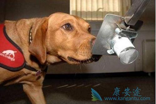 海外医疗 海外医疗