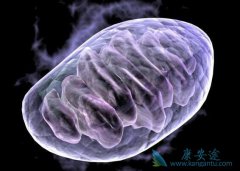 ����ҽ�Ʒ���ĸ�׵Ļ����п���ֱ��Ӱ�����ǵ���������