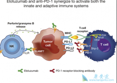 PD-1/PD-L1׿ҩͻЩ