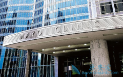 ΪʲôԽ��Խ��Ļ���ѡ����������������������ŵ�����Щ��