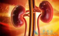 ����ҽ����ҩ���������ܷ��Ϊ��������������ϣ����