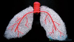 ����ҽ�Ƹ��������ά����֢״����Щ��