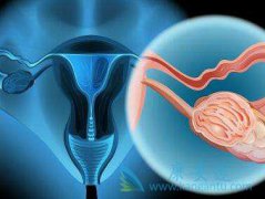 ����ҽ�Ʒ���ƫ��������ʳ���Ů�Ը��׵��ӹ���