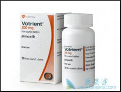����ʹ����������(VOTRIENT)�ľ����ע������