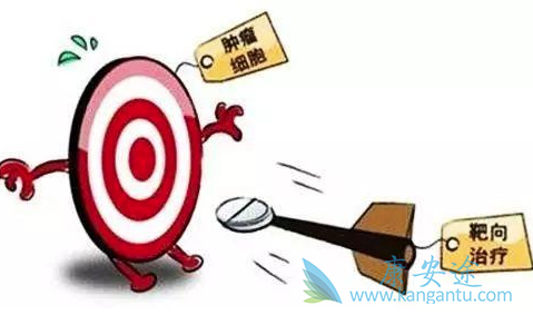 �ΰ�����������