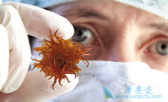 ����ҽ�����о�������Ϊ�����ڰ�֢ʹ��������