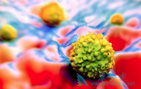 �ΰ����ڻ��о���