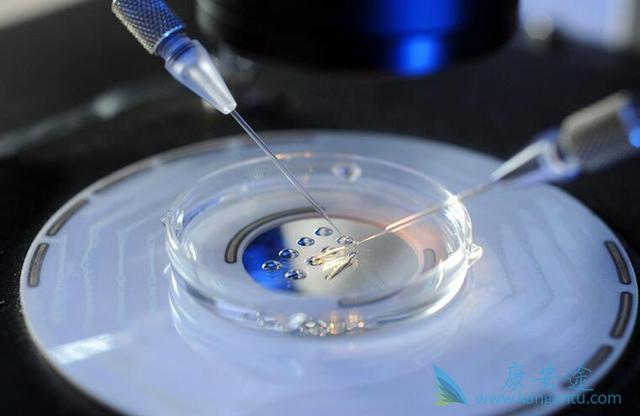 海外医疗 海外医疗