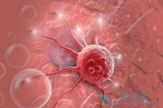 ����ҽ��