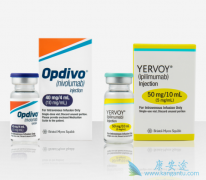 PD-1OpdivoCTLA-4Yervoyư֢Ч