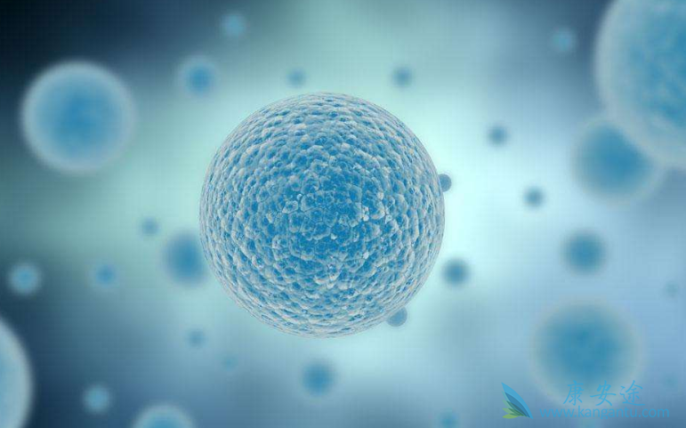 ����ҽ��