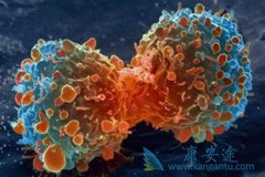 ����ҽ�Ƹ�������δ����ڲ����Ǳ���Ǳ����