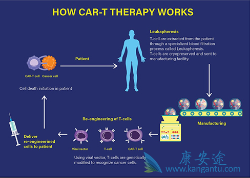 CAR-T