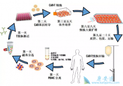 CD19ΪеCAR-TϸƷ׸FDA׼ҵ