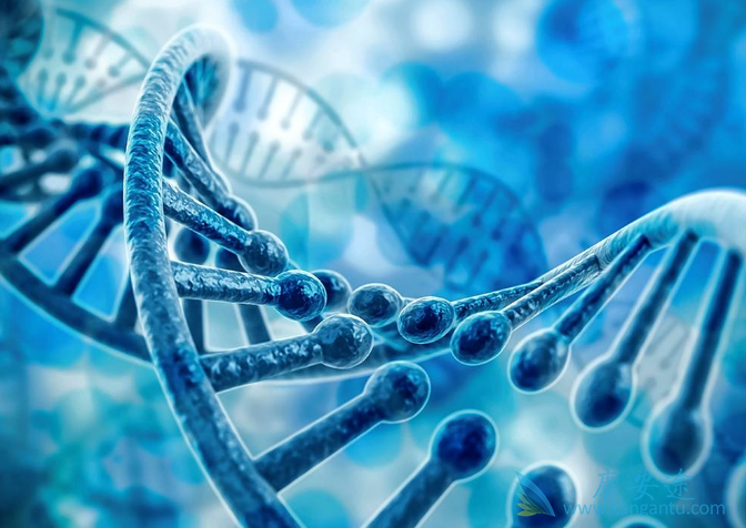 ����ҽ��