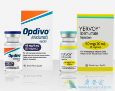 CTLA-4YervoyPD-1Opdivoƽֱ֢Ч