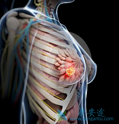 ��¡������