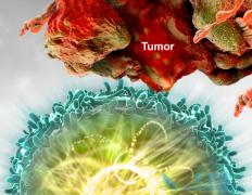 ʹ�ö༪������Ӱ��PD-1ҩ��Opdivo���Ƹΰ���Ч��