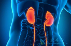 ��������(SUNINAT)ά�ּ�������ε�����������