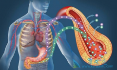 ��ɼ��/̩����������ҩ������ת�������ٰ�Ч����ô��