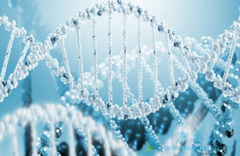 ʳ������Ӱ�������(Abiraterone)�ı�¶��