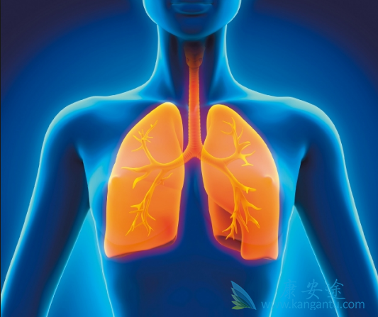 ӡ�����޿�