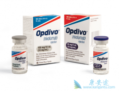 Сϸ���ΰ�ӭ��PD-1�����Ʒ� Opdivo��������Сϸ���ΰ�