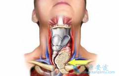 ����ҽ���Ķ༪��/��������۸���Ȼ��ӡ�ȶ༪����