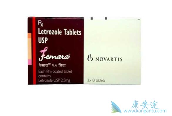 ������Ƭ