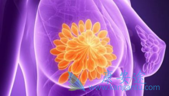 ������̹Ƭ