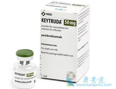 ���߼������Ƽ�