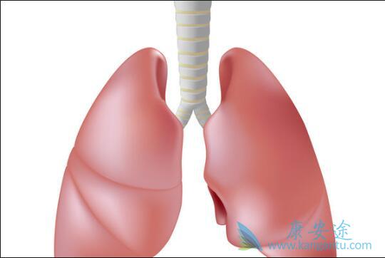 �ΰ�����