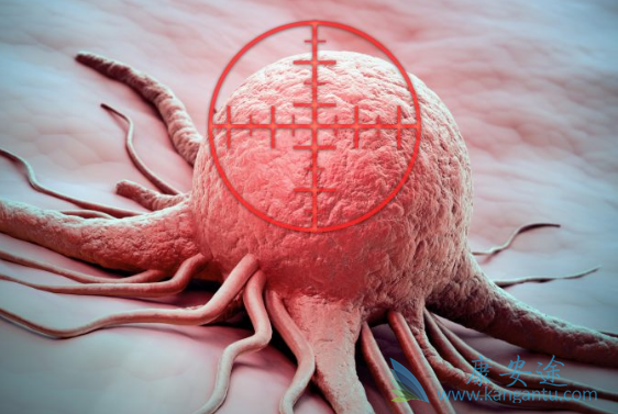 ��ϣ����