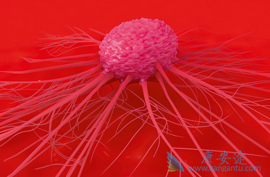 ��ϣ����