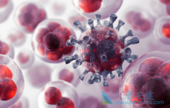 ����ҩ����������(SUNINAT)������VHL��������