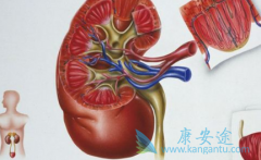 ��������/���������ܷ�����������������������