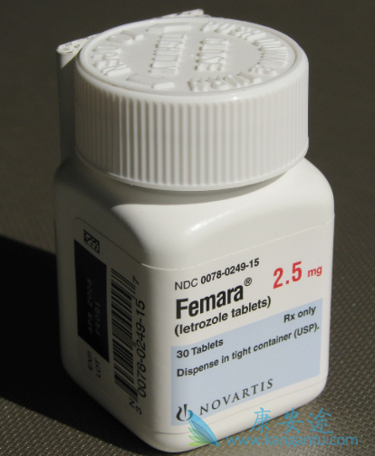 ��¡������Ƭ